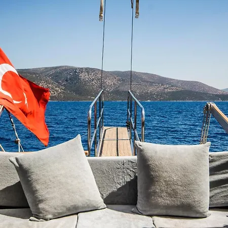 Barbaros Yachting Private Gulet 3 Cabins 船上ホテル *