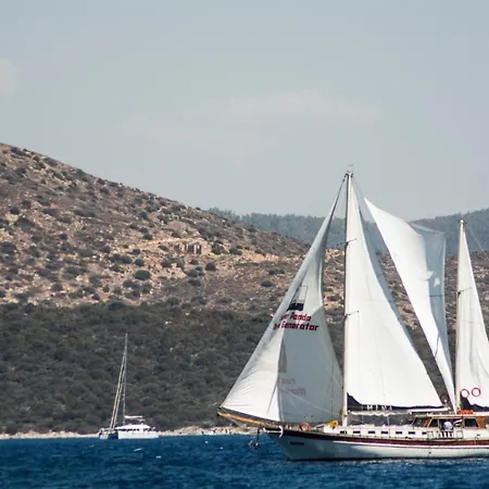 Barbaros Yachting Private Gulet 3 Cabins 船上ホテル ボドルム
