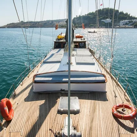 船上ホテル Barbaros Yachting Private Gulet 3 Cabins *