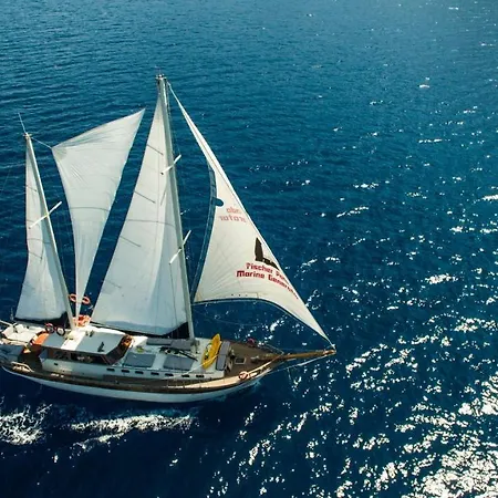 Barbaros Yachting Private Gulet 3 Cabins 船上ホテル *